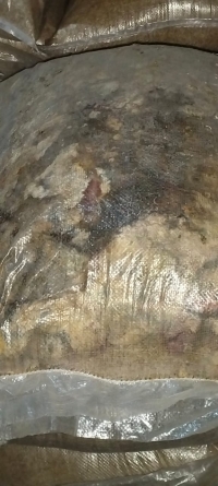 thunderstorm-damaged-mixed-rice